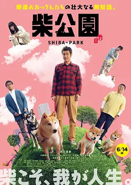 精品亚洲成a人片在线观看
